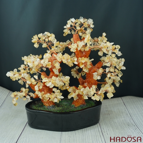 Cây tài lộc thạch anh vàng 28*17*30cm