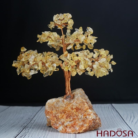 Cây tài lộc Thạch anh vàng 18x12x20cm