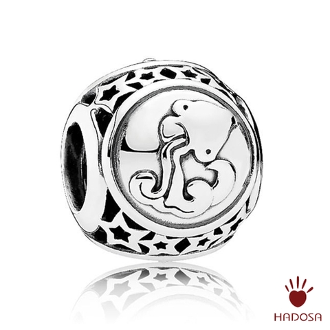 Charm cung  Bảo Bình D (Aquarius)