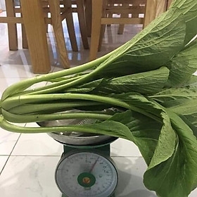 Hạt Giống Rau Cải Ngọt Khổng Lồ - 5gram