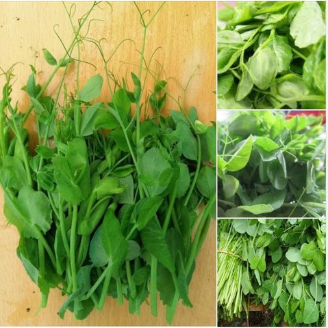 Hạt Giống Rau Đậu Hà Lan Siêu Ngọn (30gram)