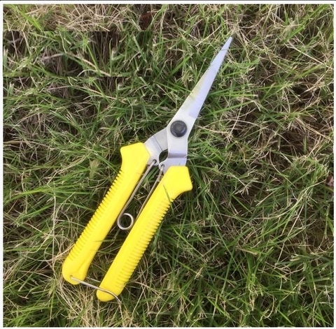 Kéo tỉa cành trái, tỉa chi dăm 19,5cm màu vàng LV109