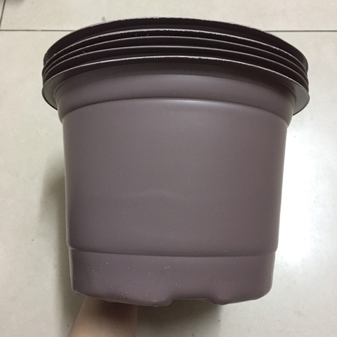 Bộ 5 Chậu Mềm 23x16cm