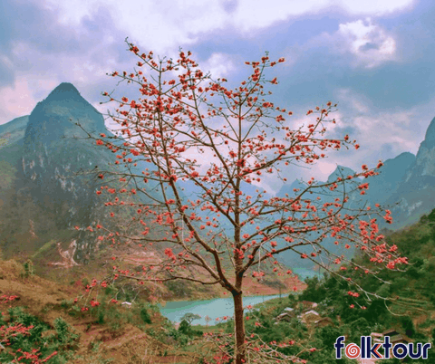 Kinh nghiệm du lịch tiết kiệm ở Hà Giang