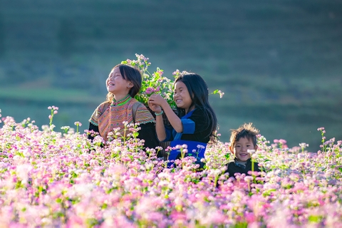 Du lịch Hà Giang tháng 10 có gì hay?
