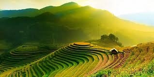Tour Hà Giang - Mù Cang Chải