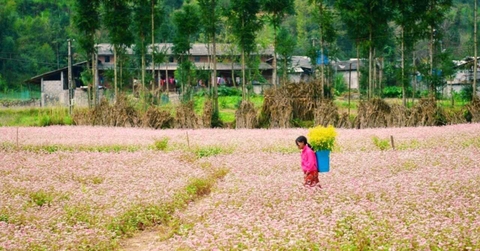 “Chúng tôi đã có một chuyến đi thật tuyệt vời với Du lịch dân gian Hà Giang