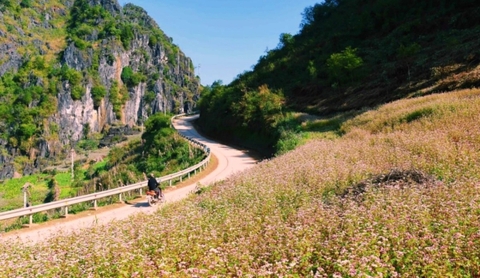 Tour Ghép Hà Giang Cuối Tuần | 2 Ngày 3 Đêm