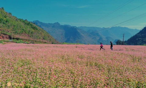 Tour Hà Giang 3 ngày 4 đêm | Kỳ vĩ Cao nguyên đá (Ngủ Nặm Đăm)