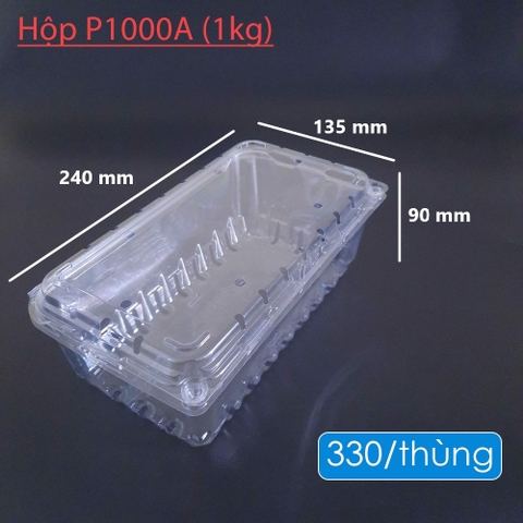 Hộp nhựa đựng trái cây 1 kg P1000A