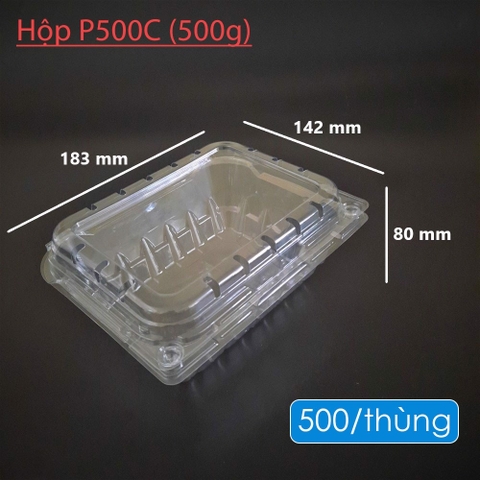 HỘP NHỰA ĐỰNG TRÁI CÂY P500C