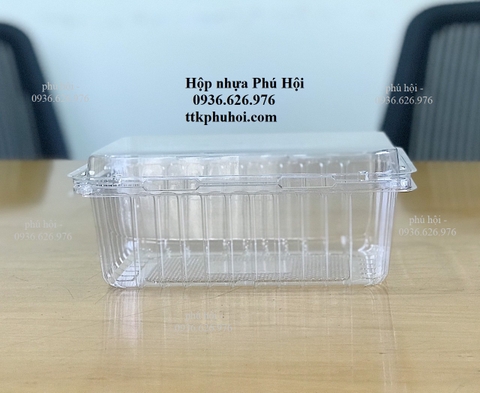 Hộp nhựa đựng trái cây 2kg có lỗ và không lỗ