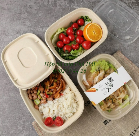 Hộp bã mía 1 ngăn to kèm nắp nhựa PET 1100ml