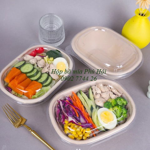 Hộp bã mía 1 ngăn to kèm nắp nhựa PET 850ml