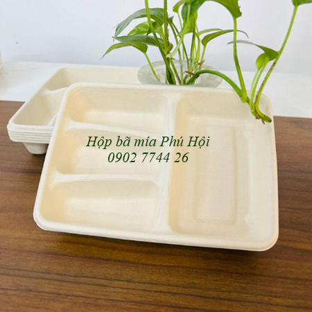 Hộp bã mía 4 ngăn nắp PET