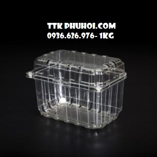 Hộp nhựa đựng trái cây 1kg P1000B