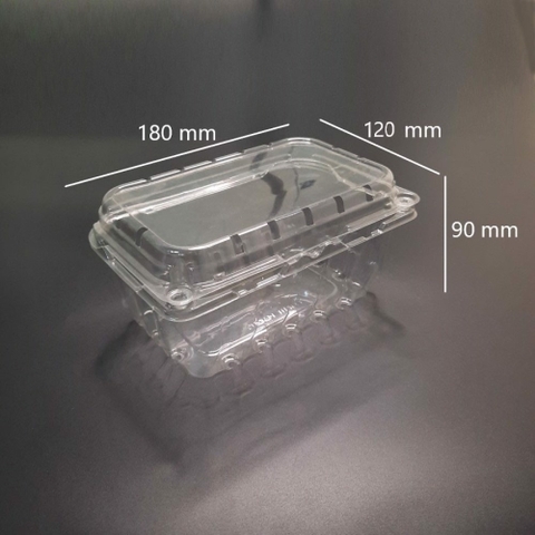 HỘP NHỰA ĐỰNG TRÁI CÂY 500G P500B