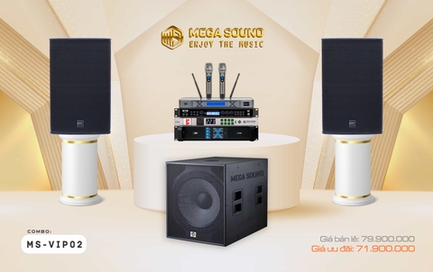 Combo karaoke MS-VIP02