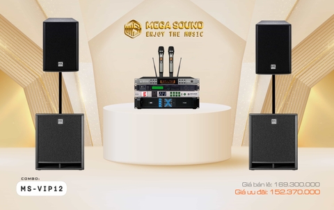 Combo karaoke MS-VIP12