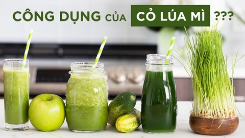 10 Lợi ích dựa trên bằng chứng khoa học của cỏ lúa mì