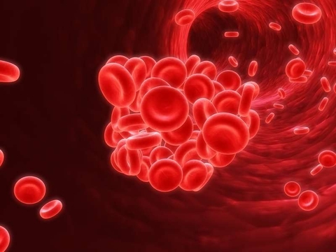 Cỏ lúa mì – thực phẩm Cần thiết trong khẩu phần ăn của bệnh nhân Thalassemia –  bệnh thiếu máu tán huyết