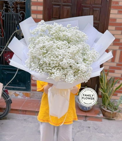 Bó hoa baby trắng ở Ba Đình  . bó hoa ý nghĩa tặng sinh nhật