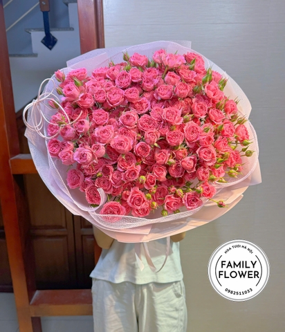 Bó hoa hồng sophia tặng bạn gái quận Cầu Giấy ! Thanh Xuân Hà Nội ! Hồng sophia Hà Nội