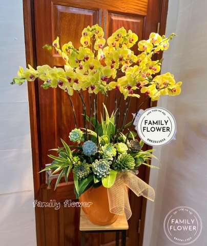 Chậu lan hồ điệp tặng sếp quận Hoàn Kiếm Hà Nội ! Điện hoa Hà Nội! Hoa tươi Hà Nội ! Mua hoa online tại Hà Nội