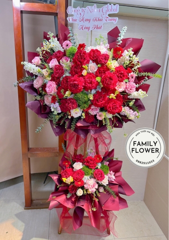 Cây hoa chúc mừng khai trương quận Cầu Giấy , Ba Đình , Hoàn Kiếm Hà Nội ! Mua hoa khai trương