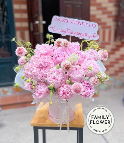 Lẵng hoa mẫu đơn tặng khai trương Quận Hoàn Kiếm , Đống Đa Hà Nội ! Hoa mẫu đơn