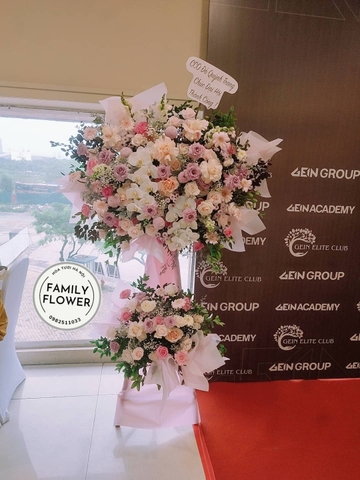 Cây hoa chúc mừng sự kiện , hội nghị, khai trương -  Family fFower - TIỆM HOA TƯƠI HÀ NỘI