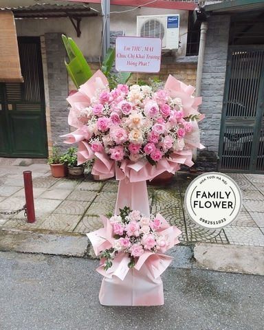 Cây hoa hồng chúc mừng khai trương phát tài phát lộc - Family Flower - Hoa tươi Hà Nội