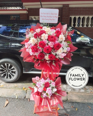Cây hoa hồng đỏ khai trương phát tài - Family Flower - Hoa tươi Cầu Giấy - Hà Nội