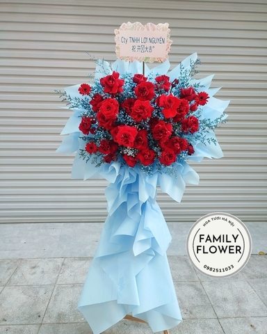 Cây hoa hồng đỏ chúc mừng khai trương hồng phát ở Cầu Giấy - Hà Nội. Hoa khai trương Hà Nội.