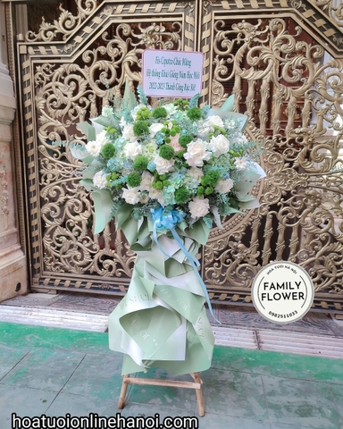 Cây hoa chúc mừng đẹp tại Hà Nội - Hoa tươi Cầu Giấy - Hoa tươi Ba Đình