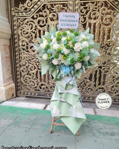 Cây hoa chúc mừng đẹp tại Hà Nội - Hoa tươi Cầu Giấy - Hoa tươi Ba Đình