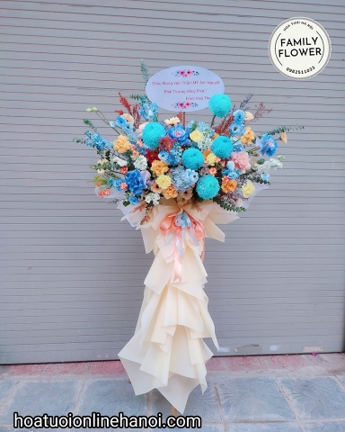 Cây hoa khai trương cúc mẫu đơn đẹp ở Hà Nội .Hoa khai trương Hà Nội