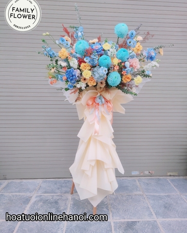 Cây hoa khai trương cúc mẫu đơn đẹp ở Hà Nội .Hoa khai trương Hà Nội