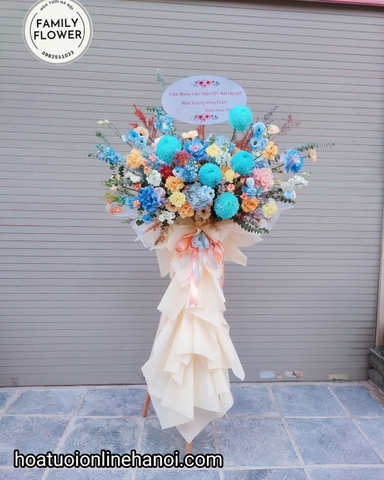 Cây hoa khai trương cúc mẫu đơn đẹp ở Hà Nội .Hoa khai trương Hà Nội