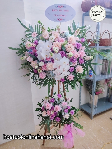 Cây hoa chúc mừng 2 cành lan hồ điệp chúc mừng hội nghị, sự kiện ,khai trương đẹp tại Hà Nội. Hoa tươi Hà Nội