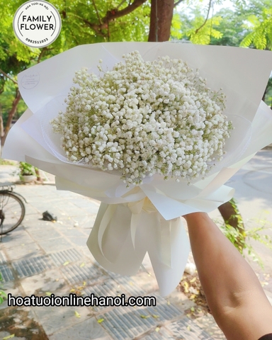 Bó hoa baby trắng chúc mừng sinh nhật vợ, người yêu , tỏ tình bạn gái ở Hà Nội. HOA BABY HÀ NỘI