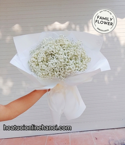 Bó hoa baby trắng chúc mừng sinh nhật vợ, người yêu , tỏ tình bạn gái ở Hà Nội. HOA BABY HÀ NỘI