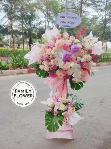 Kệ hoa vip chúc mừng khai trương , sự kiện , hội nghị sang trọng tại Hà Nội, cây hoa Hà Nội