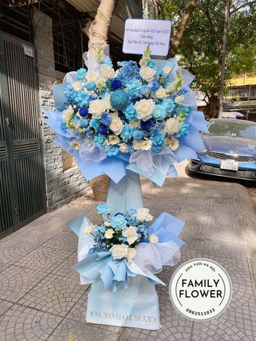 Cây hoa xanh dương chúc mừng khai trương, sự kiện tại quận BA ĐÌNH, CẦU GIẤY - HÀ NỘI