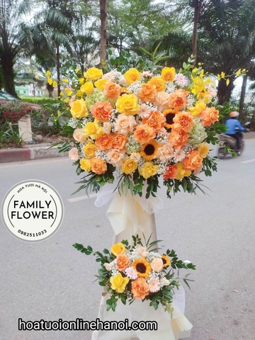 Cây hoa khai trương tại quận Đống Đa , kệ hoa tươi chúc mừng sinh nhật , hội nghị , sự kiện tại Đống Đa.