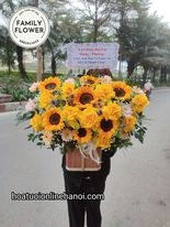 Hoa chúc mừng ! Lẵng hoa hướng dương tặng chúc mừng quận Ba Đình - Hà Nội