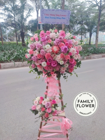 Hoa chúc mừng ! Cây hoa chúc mừng khai trương tại Cầu Giấy - Ba Đình - Hà Nội.