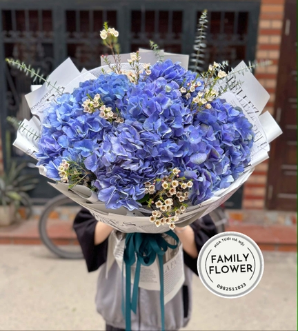 Bó hoa cẩm tú cầu xanh! Hoa cẩm tú cầu Đ ống Đ a Hà Nội! Hoa cẩm tú cầu xanh