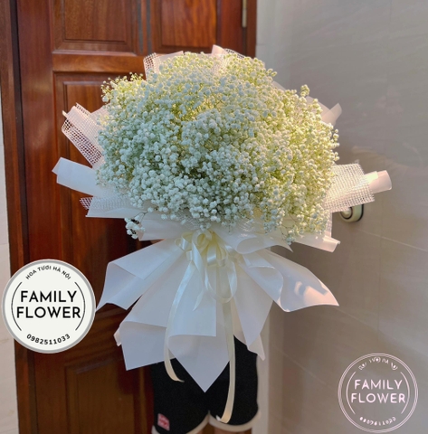 Bó hoa baby tặng người yêu nhân dịp 20 tháng 10 ở Hoàn Kiếm , Đống Đa , Thanh Xuân Hà Nội !