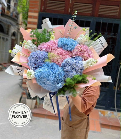 Bó hoa cẩm tú cầu tặng bạn gái quận Cầu Giấy , Đống Đa Hà Nội ! Hoa cẩm tú cầu Hà Nội